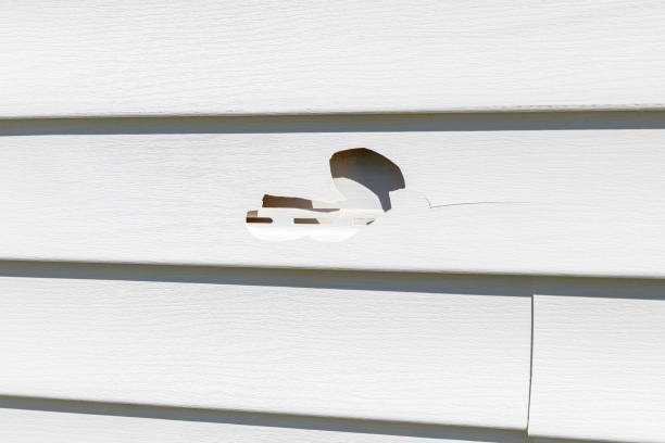 Best Custom Trim and Detailing for Siding  in Jefferson, MD